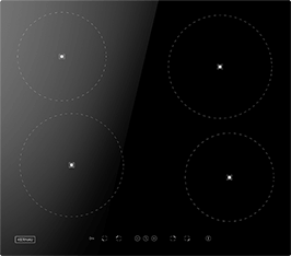 Induktionsfeld Reparatur Köthen